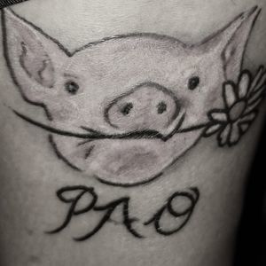 Meet your Posher, Eva